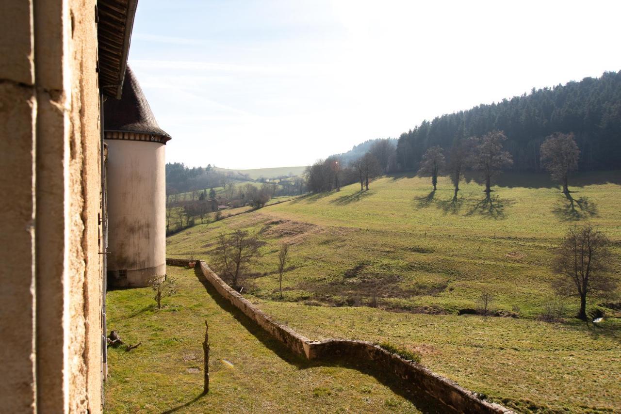Chateau De Pramenoux Lamure-sur-Azergues Eksteriør bilde